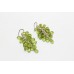 Bunch Earrings Silver 925 Sterling Dangle Drop Women's Green Peridot Stone A963